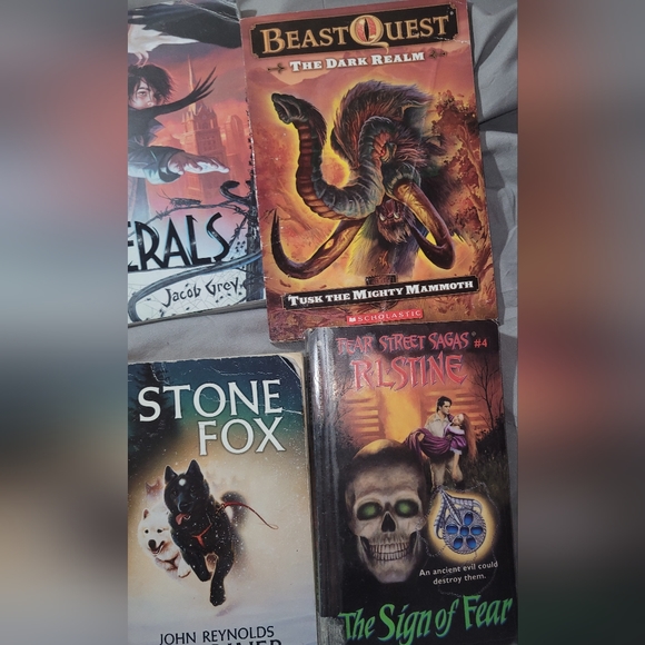 Chapter Books - Picture 4 of 5